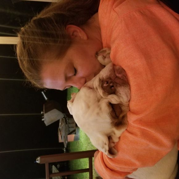 Meet your Posher, Jonathan - Picture 1 of 1